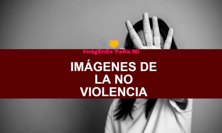 Lee más sobre el artículo Imágenes de la No Violencia: Consigue las más destacadas Actualmente